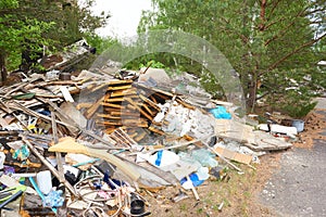 Ecological disaster in zhe forest