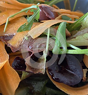 Ecological Eco Carrot Chicory Arugula Mixed Sallad