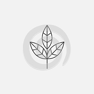 Ecological flat symbol of eco web vector line icon