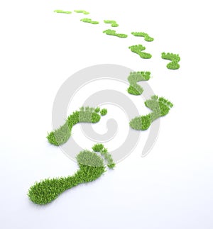 Ecological footprint photo