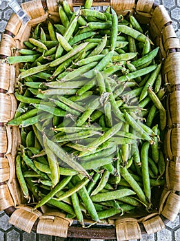 Ecological fresh green peas pods photo