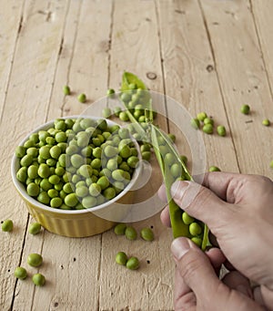 Ecological fresh green peas pods.