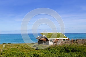 Ecológico césped techo casa en México 