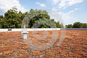 Ecological green flat roof