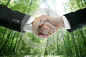Ecological handshake businessman in a forest