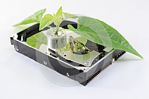 Ecological hard disk