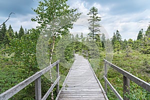 Ecological hiking wooden footpath through the peat bog