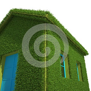 Ecological House