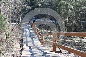 An ecological path for pedestrians in the form of wooden stairs in the coniferous forest in the territory of Krasnoyarskie stolby