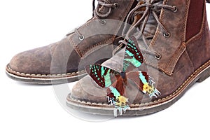 Ecological positive concept