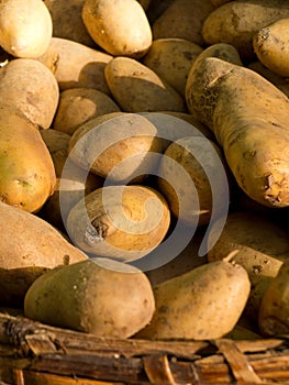 Ecological potatoes