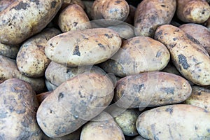 Ecological potatoes