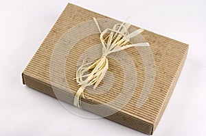 Ecological present box