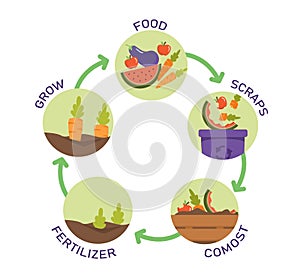 Ecological process vector concept