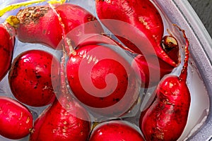 Ecological radishes red radishes - rabanitos of intense red color. Wash in a container of water