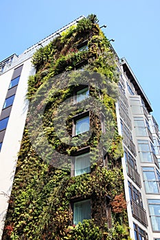 Ecological skyscraper