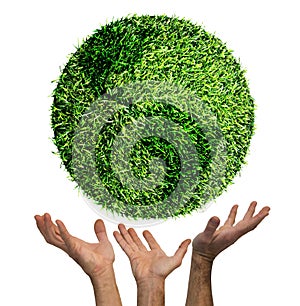 Ecological symbol of earth on american side