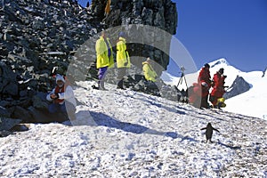 Ecological tourists observing Chinstrap penguins (Pygoscelis antarctica) on Half Moon Island, Bransfield Strait, Antarctica