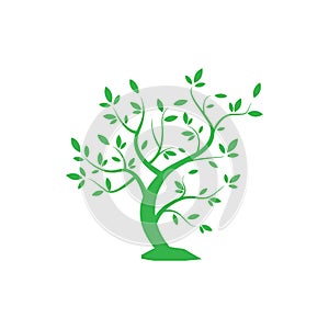 Ecological tree. Logo for the company. vector icons