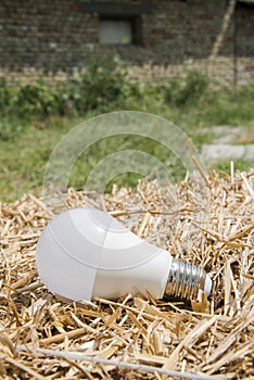 Ecological white light bulbs