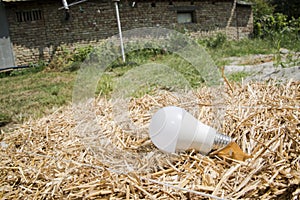 Ecological white light bulbs