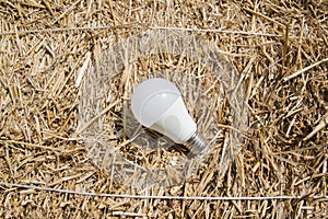 Ecological white light bulbs