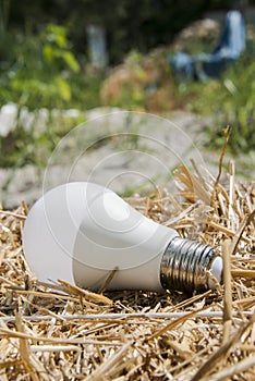 Ecological white light bulbs