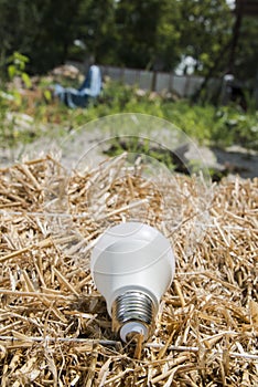 Ecological white light bulbs