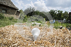 Ecological white light bulbs