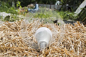 Ecological white light bulbs