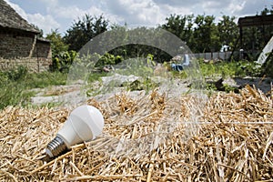 Ecological white light bulbs