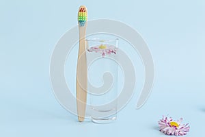 An ecological, wooden toothbrush, a glass with clean, clear water and a white daisy floating in the water on a blue background