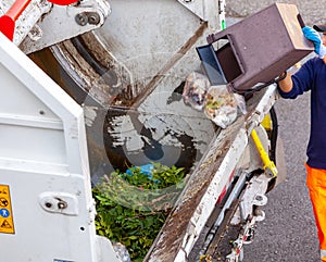 Ecological worker empties bucket of organic waste into garbage truck