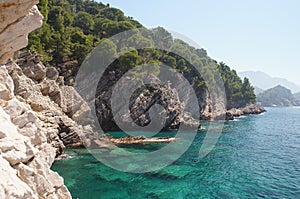 The ecologically cleanest Adriatic sea photo