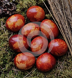 Ecologically colored Easter eggs photo
