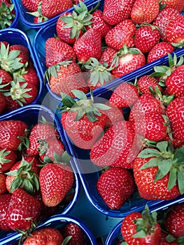 Ecologically Farmed Strawberries in Plastic Packages
