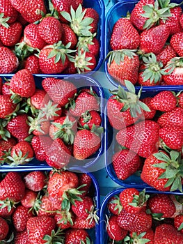 Ecologically Farmed Strawberries in Plastic Packages