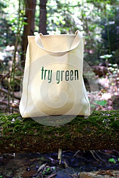 Ecologically Freindly Shopping Bag
