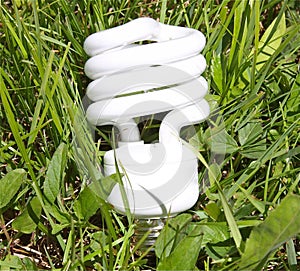 Ecologically Friendly Bulb