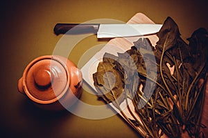 Ecologically pure spinach