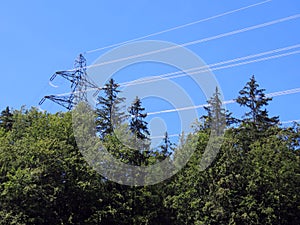 Ecology ahead of energy - mixed subalpine forest around the metal structure of the power line, Brienz - Switzerland