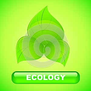 Ecology background