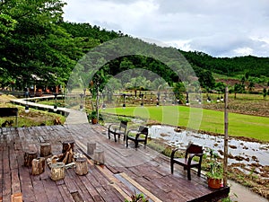 Ecology cafe in nature trend. wooden hut in rice field near stream. cafe in rice field
