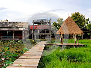 Ecology cafe in nature trend. wooden hut in rice field near stream. cafÃ© in rice field