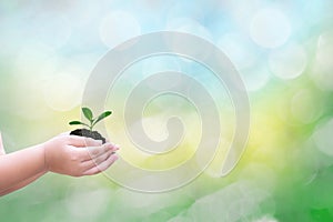 Ecology concept child hands holding tree and sapling with on blurred sunset background world environment