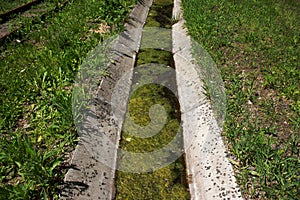 Ecology concept. Dirty water in storm drains covered with blooming algae.