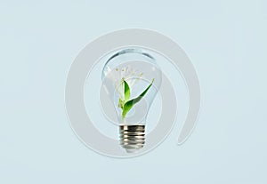 Ecology concept. green leaves growing inside of a bulb.