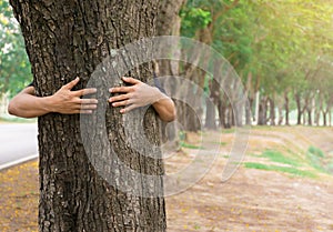 Ecology concept Hand man hug tree love forests trees