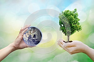 Ecology concept human hands holding big plant face tree look world environment,Earth image provided by Nasa.