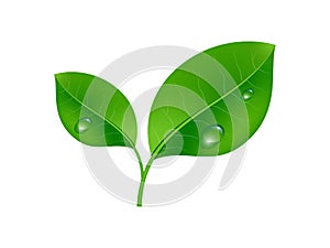 Ecology concept icon